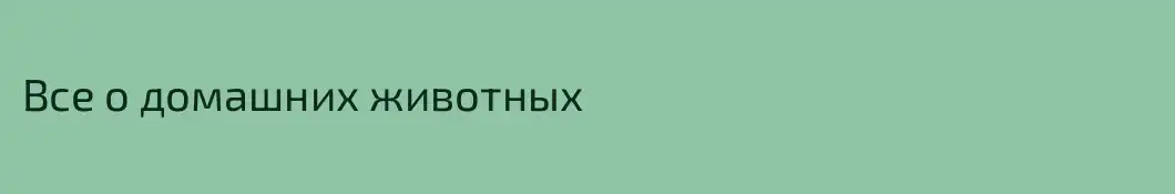Все о домашних животных